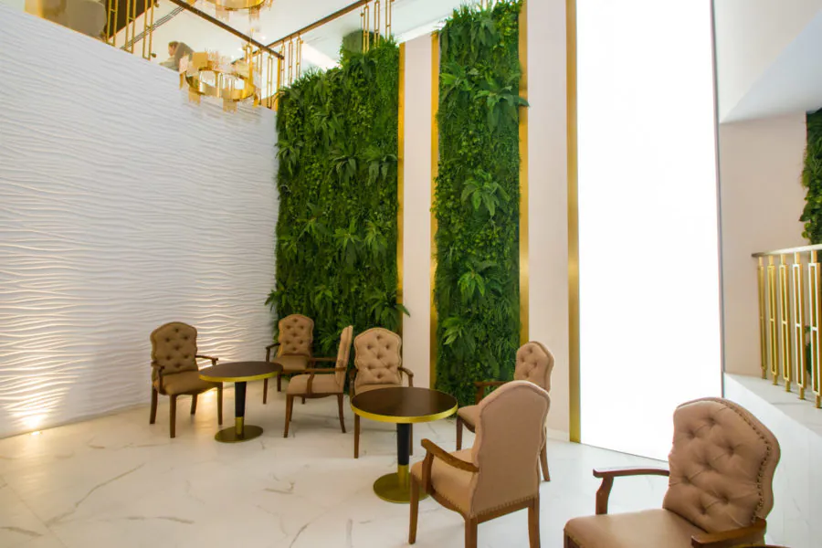 Зелёный уголок в санатории «Плаза» в Кисловодске - фотография