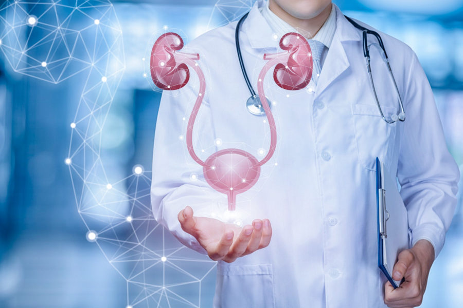 Лечение заболеваний мочеполовой системы в санатории «Плаза» в Кисловодске - фотография