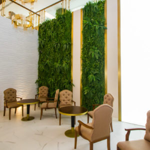 Зелёный уголок в санатории «Плаза» в Кисловодске - фотография