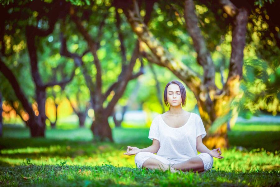 Программа «Жизнь» Махариши Аюрведа в санатории «Плаза» в Кисловодске - фотография