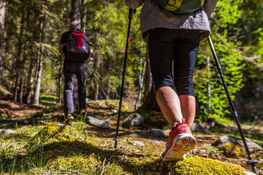 Терренкур в санатории «Плаза» - фотография
